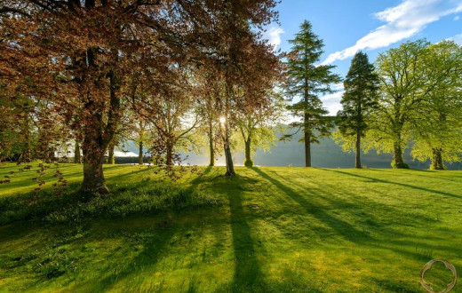 Apartment on Loch Ness - Low Mobility Friendly