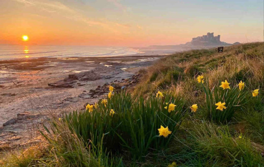 Eight Bells Cottage, Bamburgh