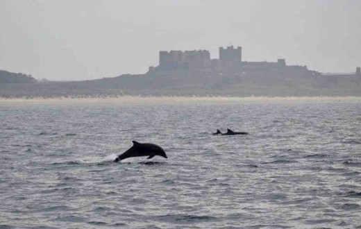 Eight Bells Cottage, Bamburgh