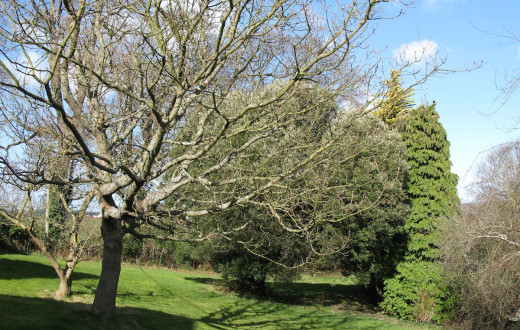 The Ffarm Flat at Ffarm Country House