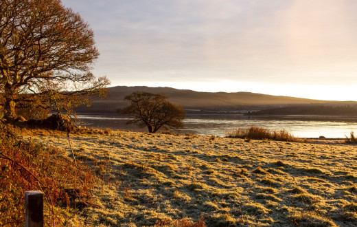 Tarbert Country Manor