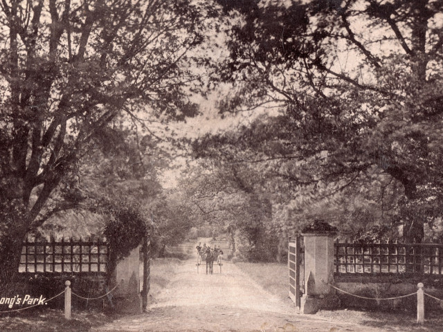 Gallery image