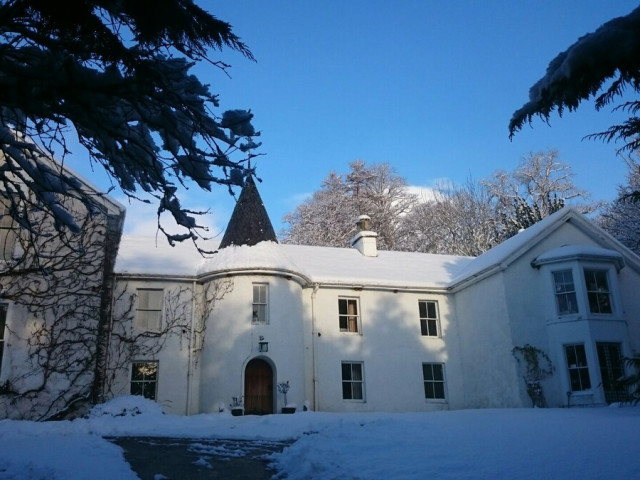 Gallery image